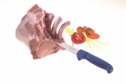 Dick Ergogrip 3-piece Butcher Knife Set - Ergonomic Multicoloured Handles 8 Dick Ergogrip 3-piece Butcher Knife Set - Ergonomic Multicoloured Handles -KnifeMaster Store dick ergogrip 3 piece butcher knife set ergonomic multicoloured handles 3