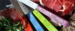 Opinel N°112 Set Of 4 Paring Knives 10cm With Colourful Handles 5 Opinel N°112 Set Of 4 Paring Knives 10cm With Colourful Handles -KnifeMaster Store opinel n112 set 4 paring knives 10cm colourful handles 2